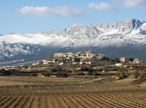 BODEGAS Y VIÑEDOS ARTADI