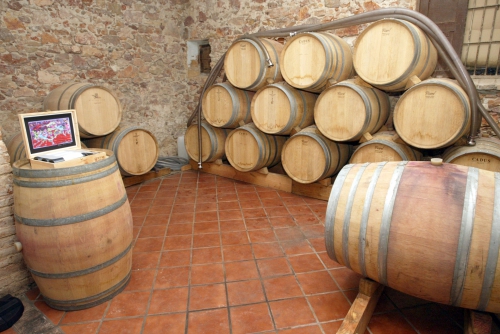 CELLER VERMUNVER