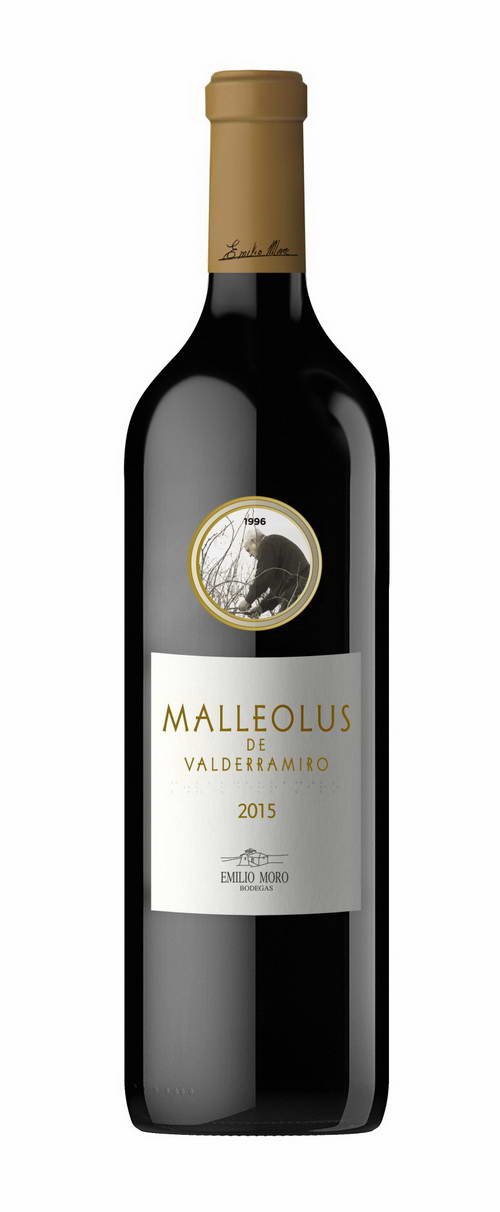 MALLEOLUS DE VALDERRAMIRO 2016