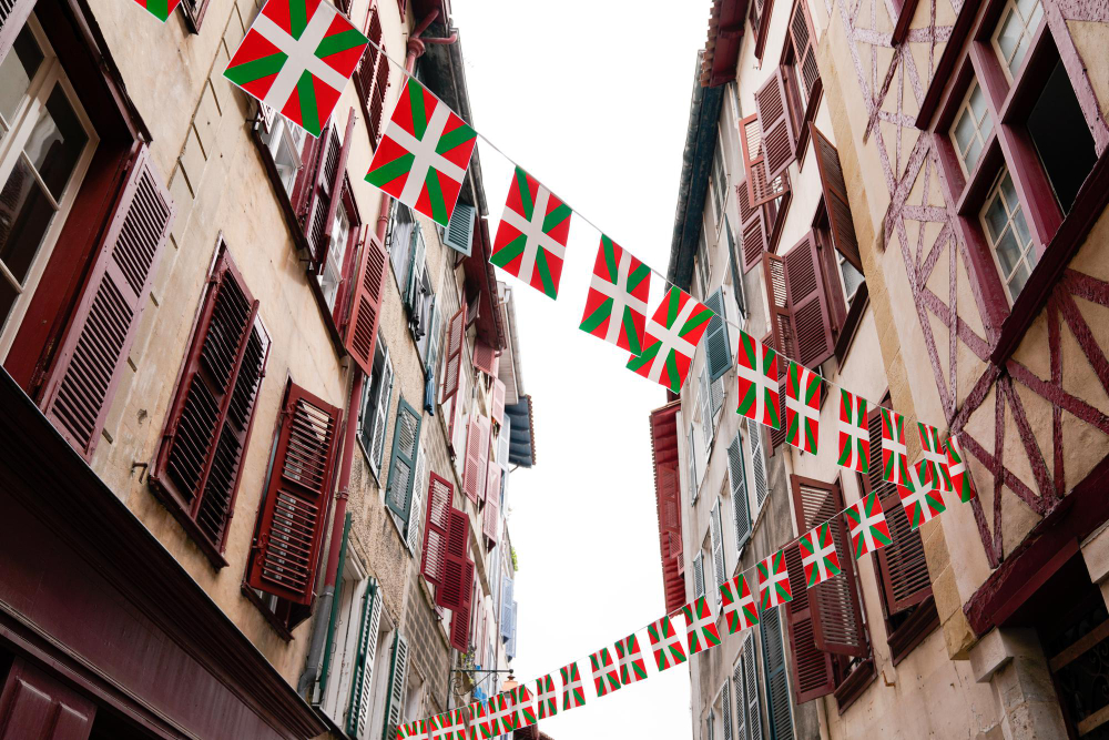 Discover the wines of the basque country. Why should we buy them?